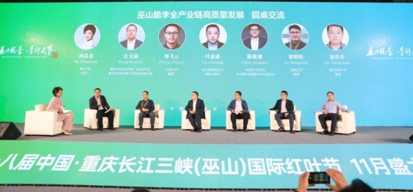 圆桌交流环节。主办方供图